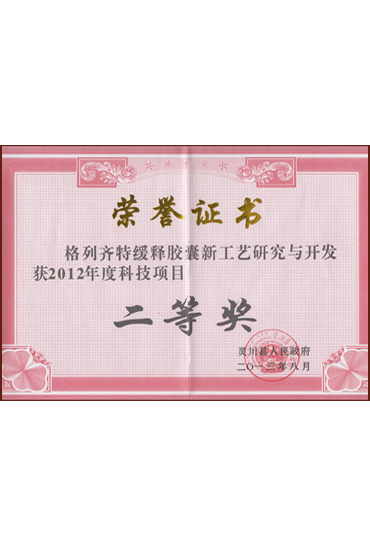 新工藝研究與開(kāi)發(fā)二等獎(jiǎng)