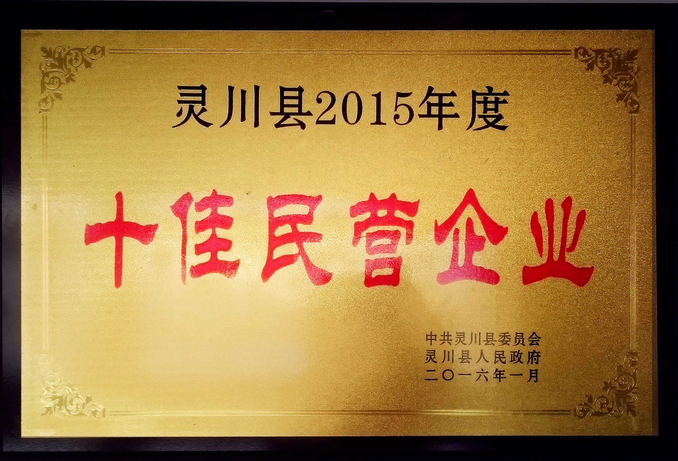 華信制藥2015年度十佳民營企業