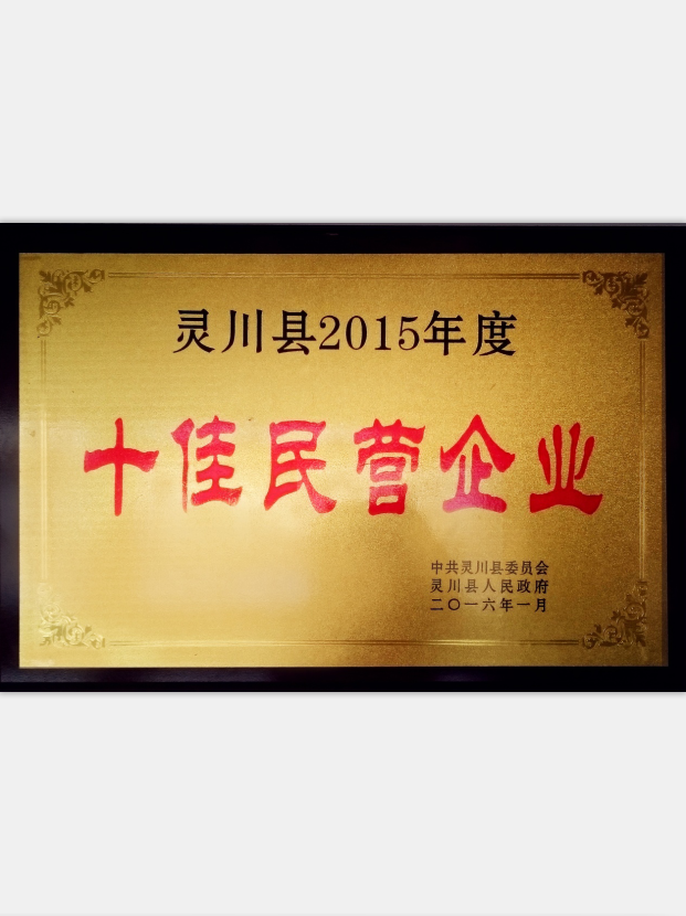 2015年度十佳民營(yíng)企業(yè)