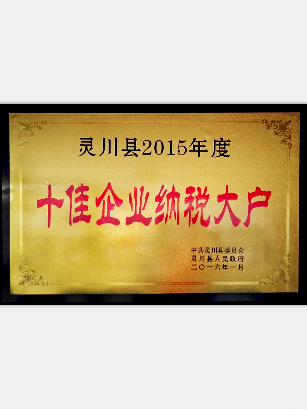 2015年度十佳企業納稅大戶