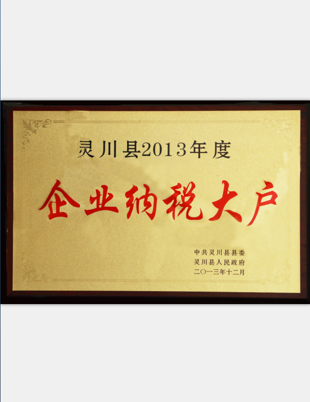 2013年度企業(yè)納稅大戶(hù)