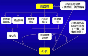 高血糖增加心衰風險的可能機制