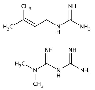 兩種胍類小分子，山羊豆堿（上）和二甲雙胍（下）